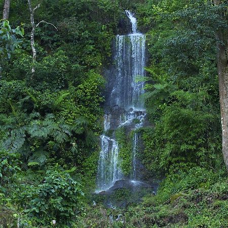 Madhumanthra Resort - Homestay Munnar Zewnętrze zdjęcie