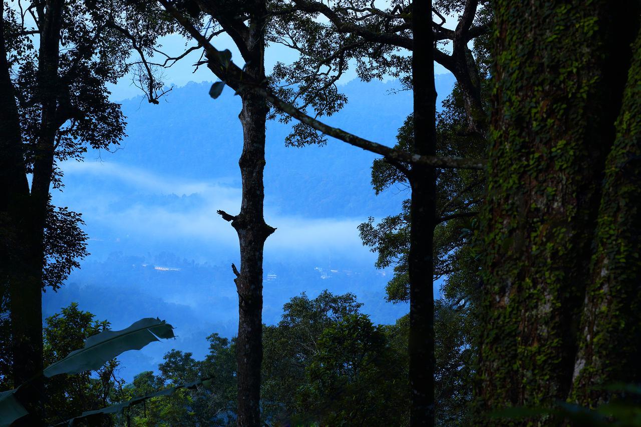 Madhumanthra Resort - Homestay Munnar Zewnętrze zdjęcie