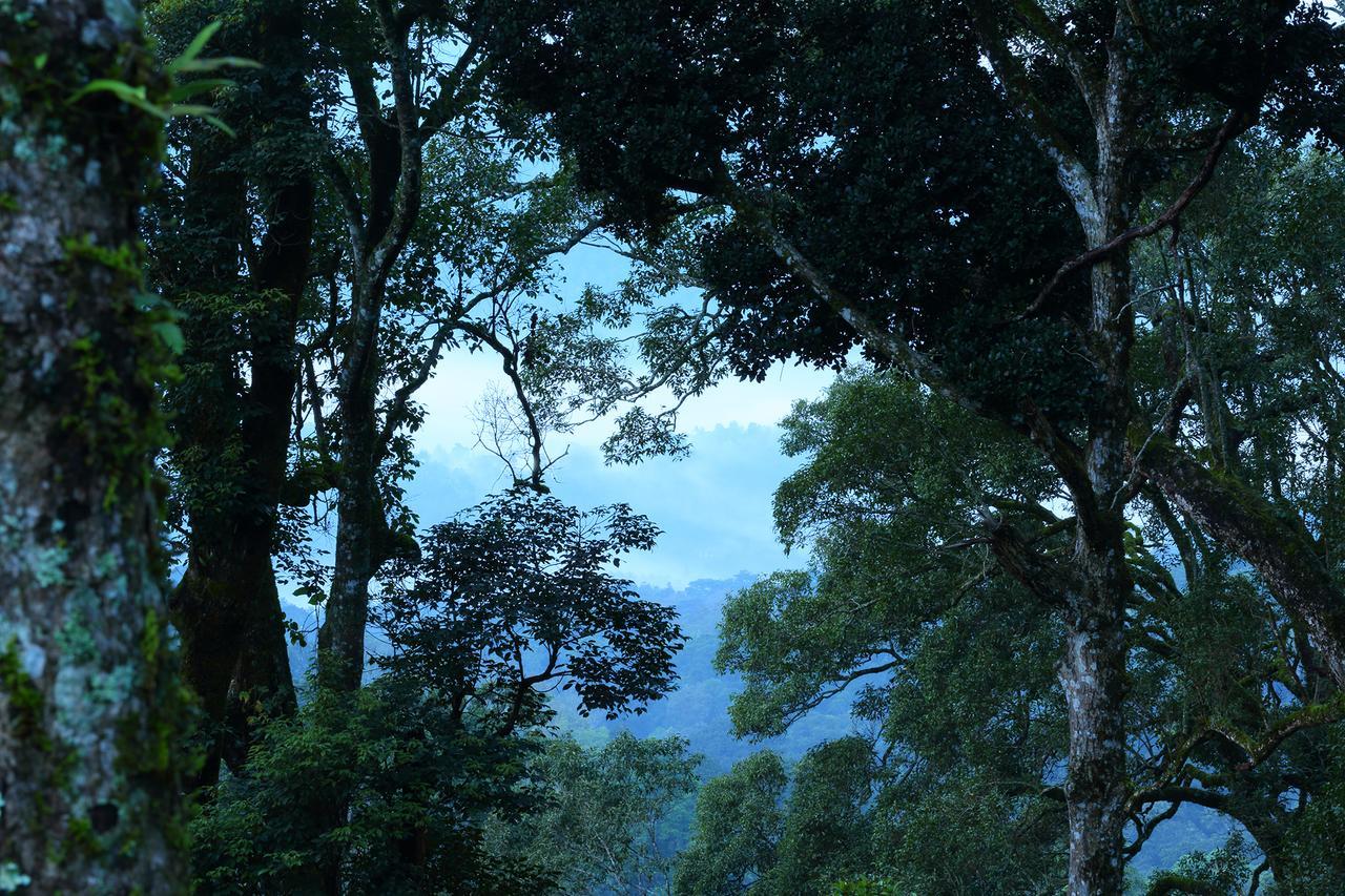 Madhumanthra Resort - Homestay Munnar Zewnętrze zdjęcie