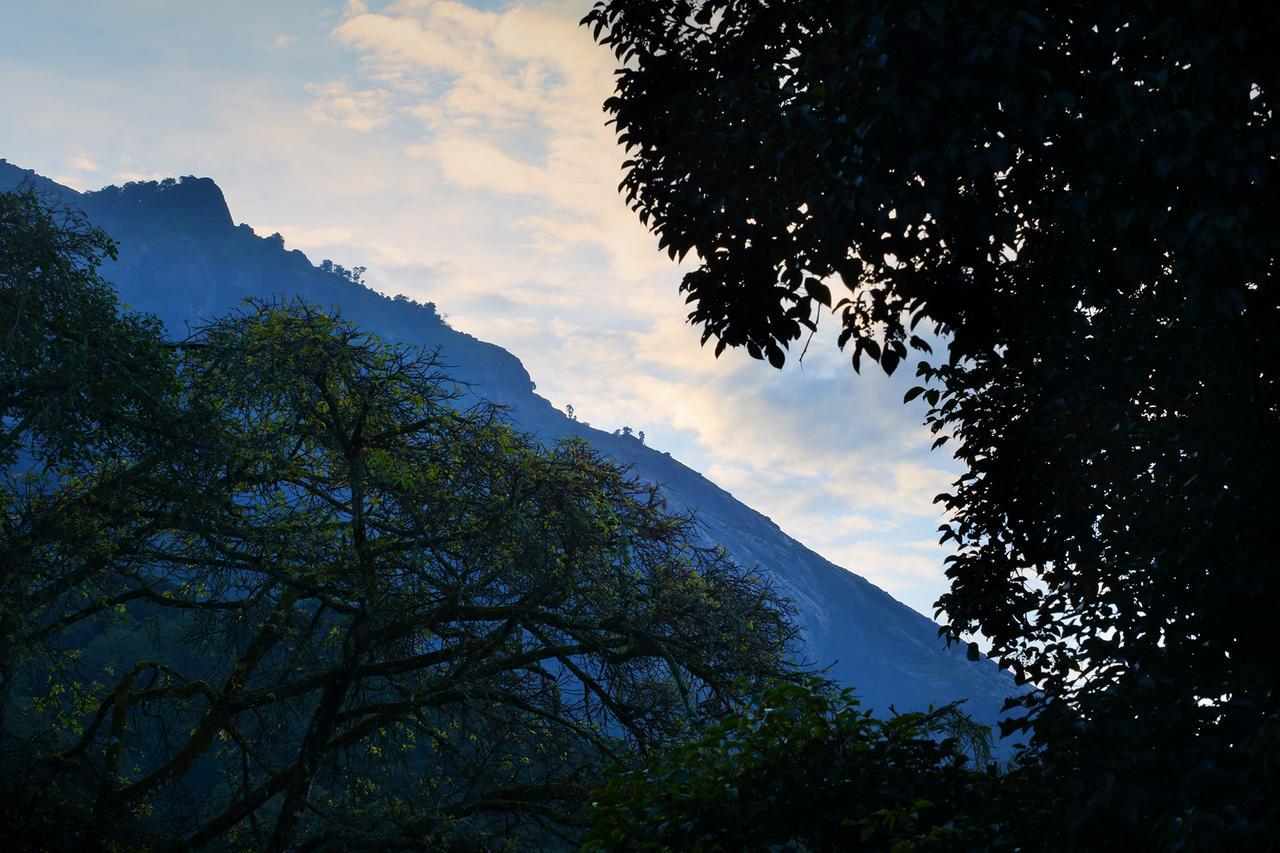 Madhumanthra Resort - Homestay Munnar Zewnętrze zdjęcie