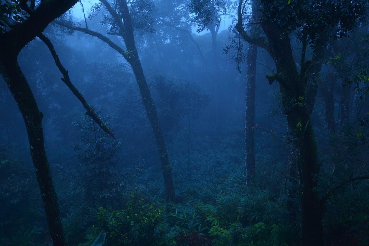 Madhumanthra Resort - Homestay Munnar Zewnętrze zdjęcie