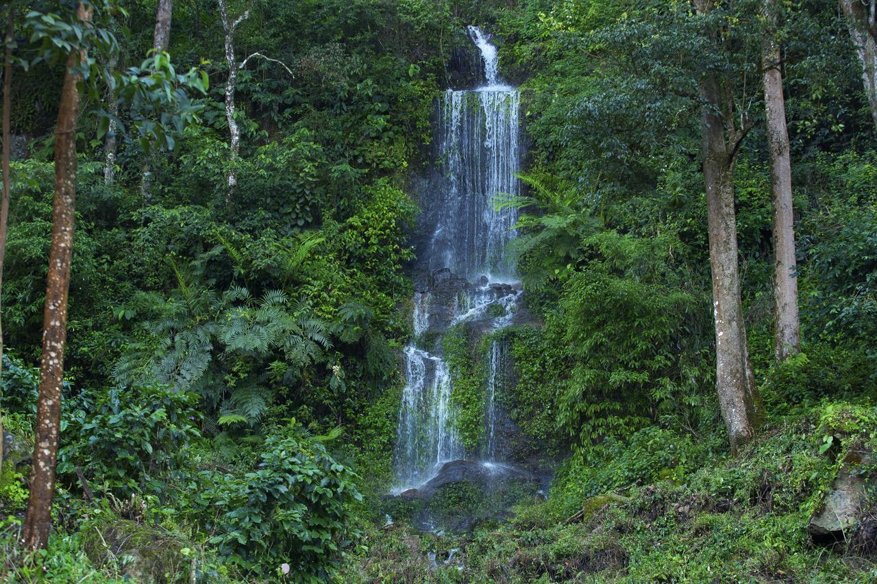 Madhumanthra Resort - Homestay Munnar Zewnętrze zdjęcie