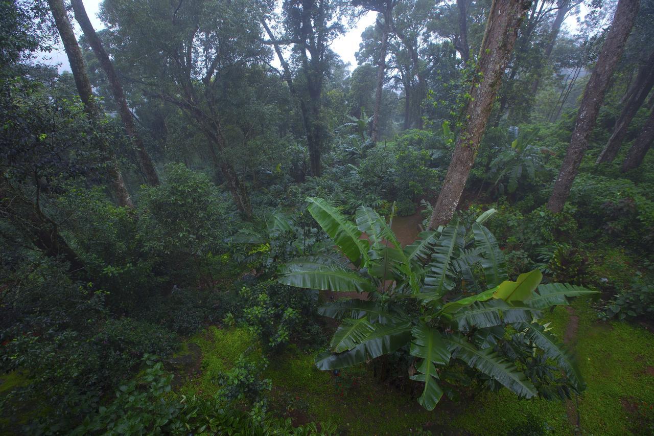 Madhumanthra Resort - Homestay Munnar Zewnętrze zdjęcie